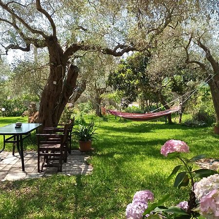 Hotel George Chrysi Ammoudia Chambre photo