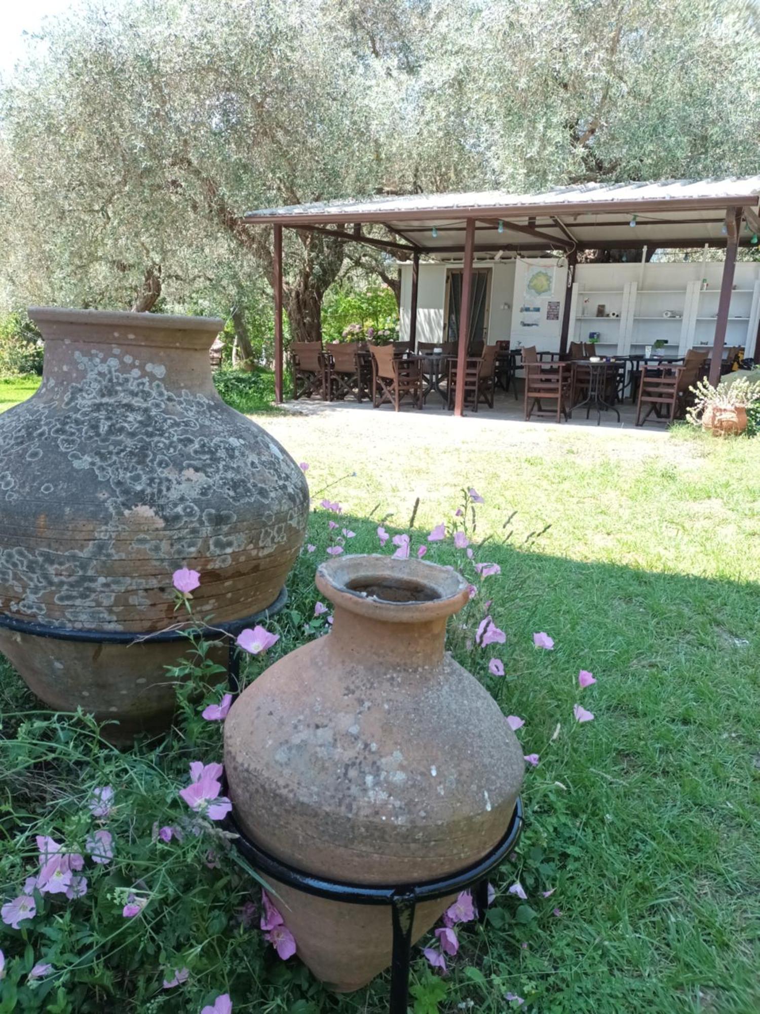 Hotel George Chrysi Ammoudia Chambre photo