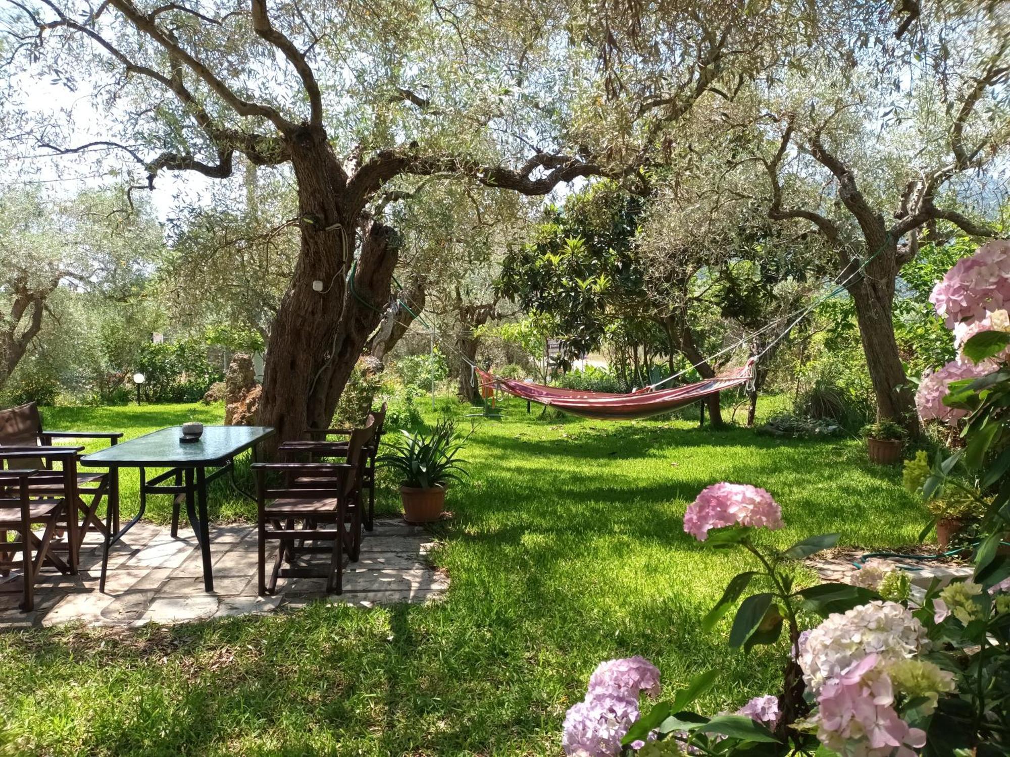 Hotel George Chrysi Ammoudia Chambre photo