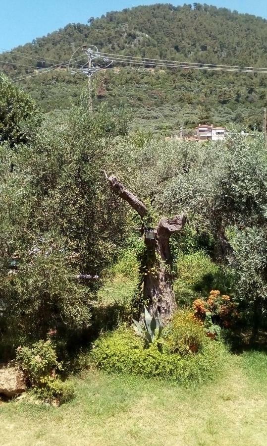 Hotel George Chrysi Ammoudia Extérieur photo